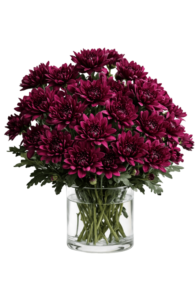 Pompom cushion - Purple paulina