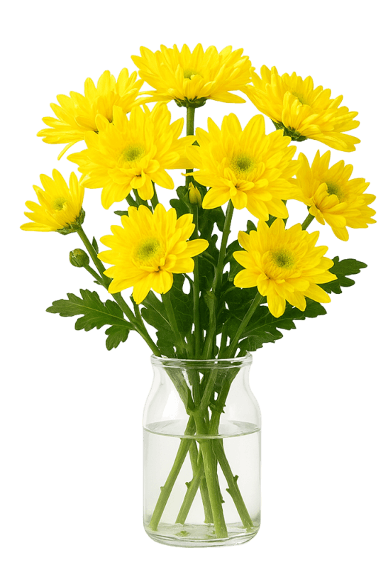 Pompom cushion - Zembla sunny